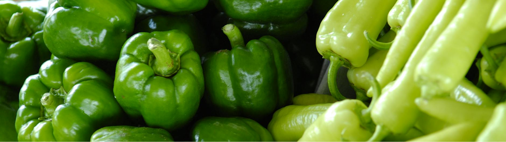 Volunteers packing food